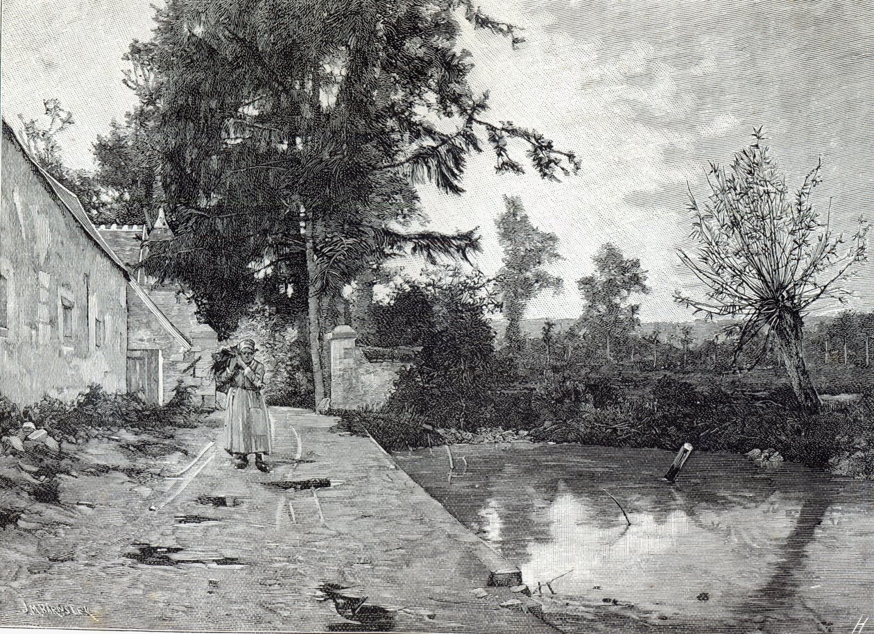 After the rain, from Leisure Hour, 1888 by J.M. Barnsley