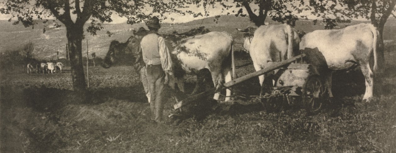 Ploughing Team by J. Craig Annan