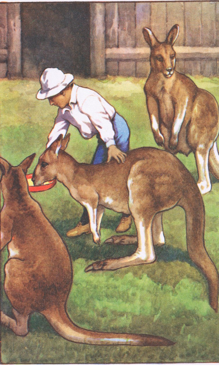 Australian Boy, from MacMillan School Posters by J. Macfarlane