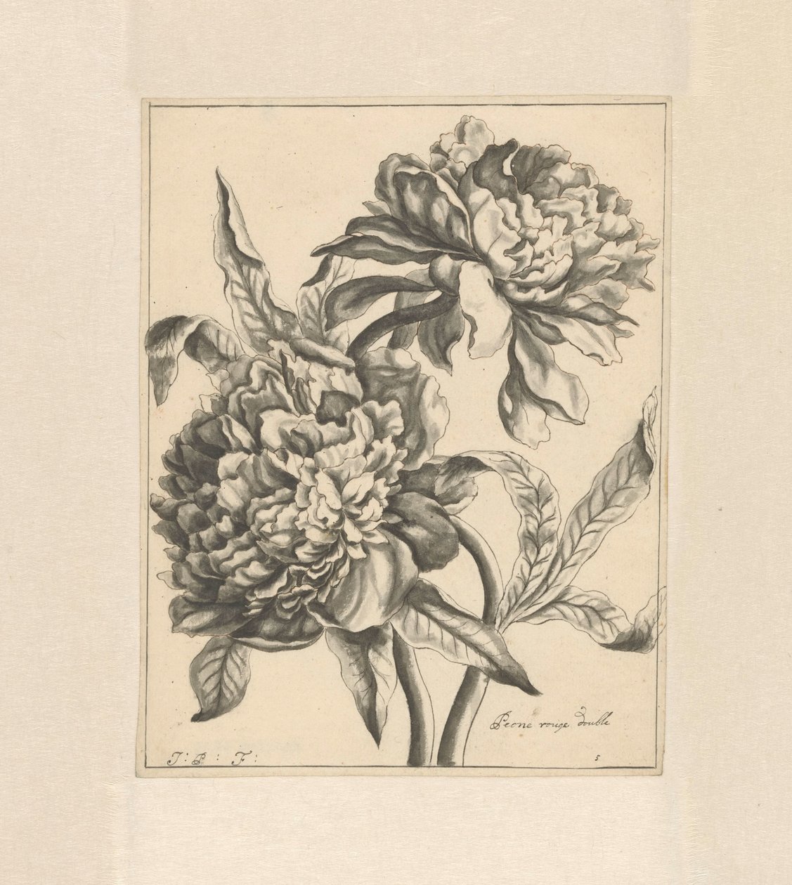 Two Branches with a Peony by J. Porteret