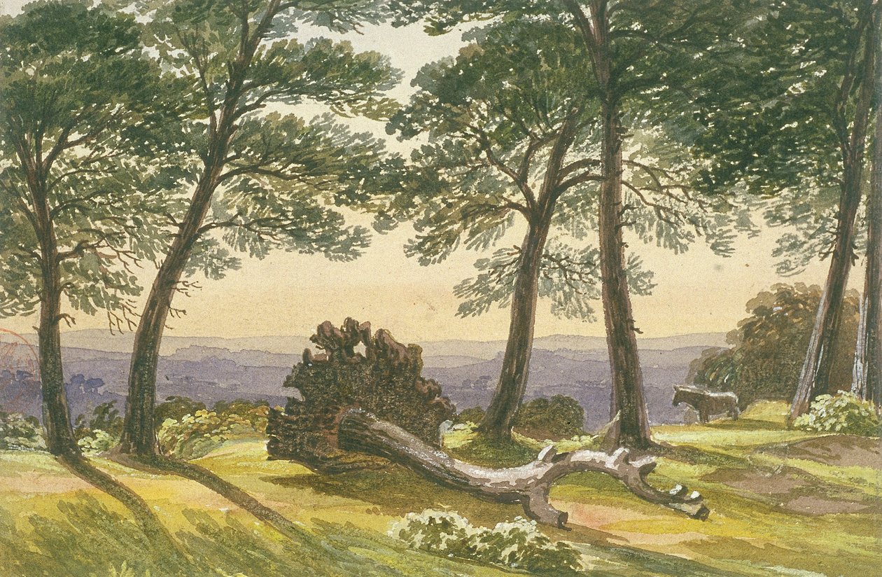 Hampstead Heath, London, c. 1830 by J Powell