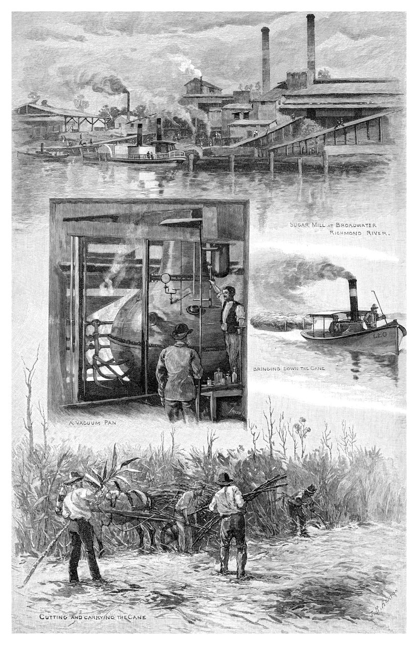 The Sugar Industry, Richmond River, New South Wales, Australia by J. R. Ashton