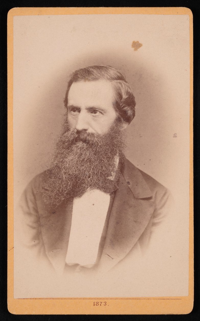 Portrait of Mordecai Cubitt Cooke, 1873 by J Stegmann