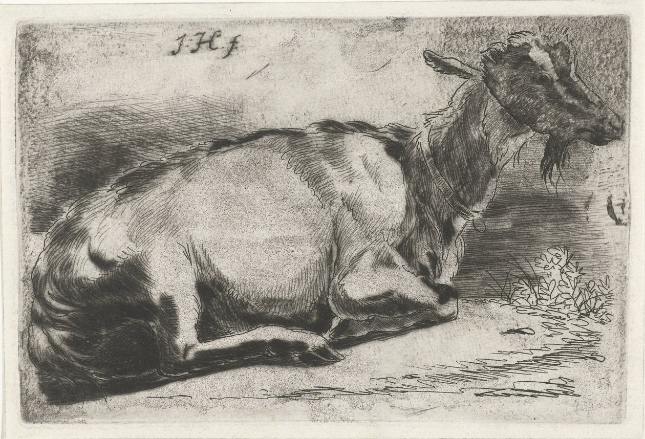 Lying Goat by Jabes Heenck