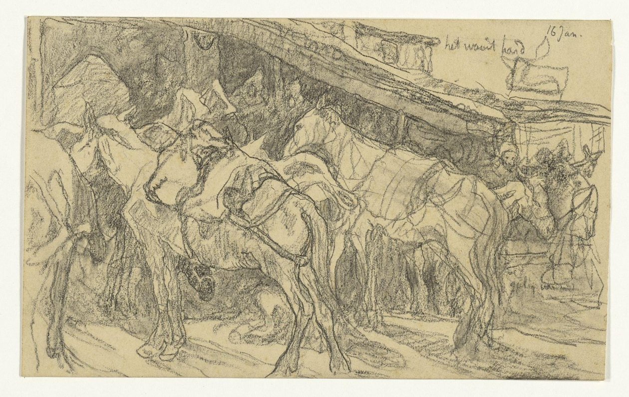 Mules and Donkeys at the Grand Market in Tangier by Jac van Looij