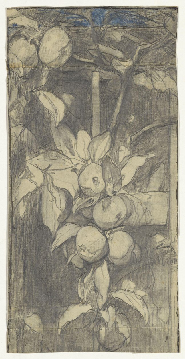 Bunch of Keizer-Alexander Apples by Jac van Looij