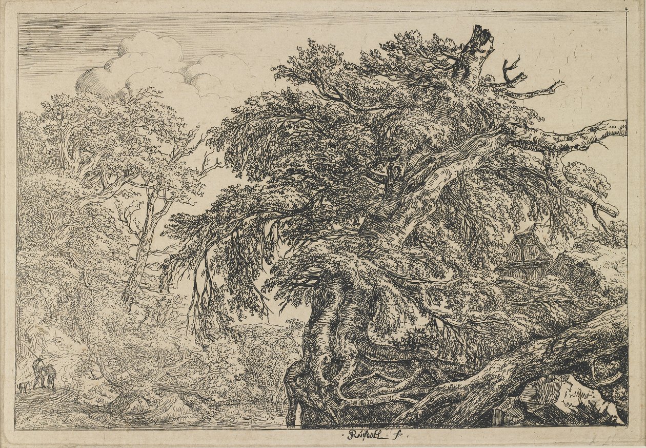 The Great Beech with Two Men and a Dog, c. 1650-1655 by Jacob van Ruisdael