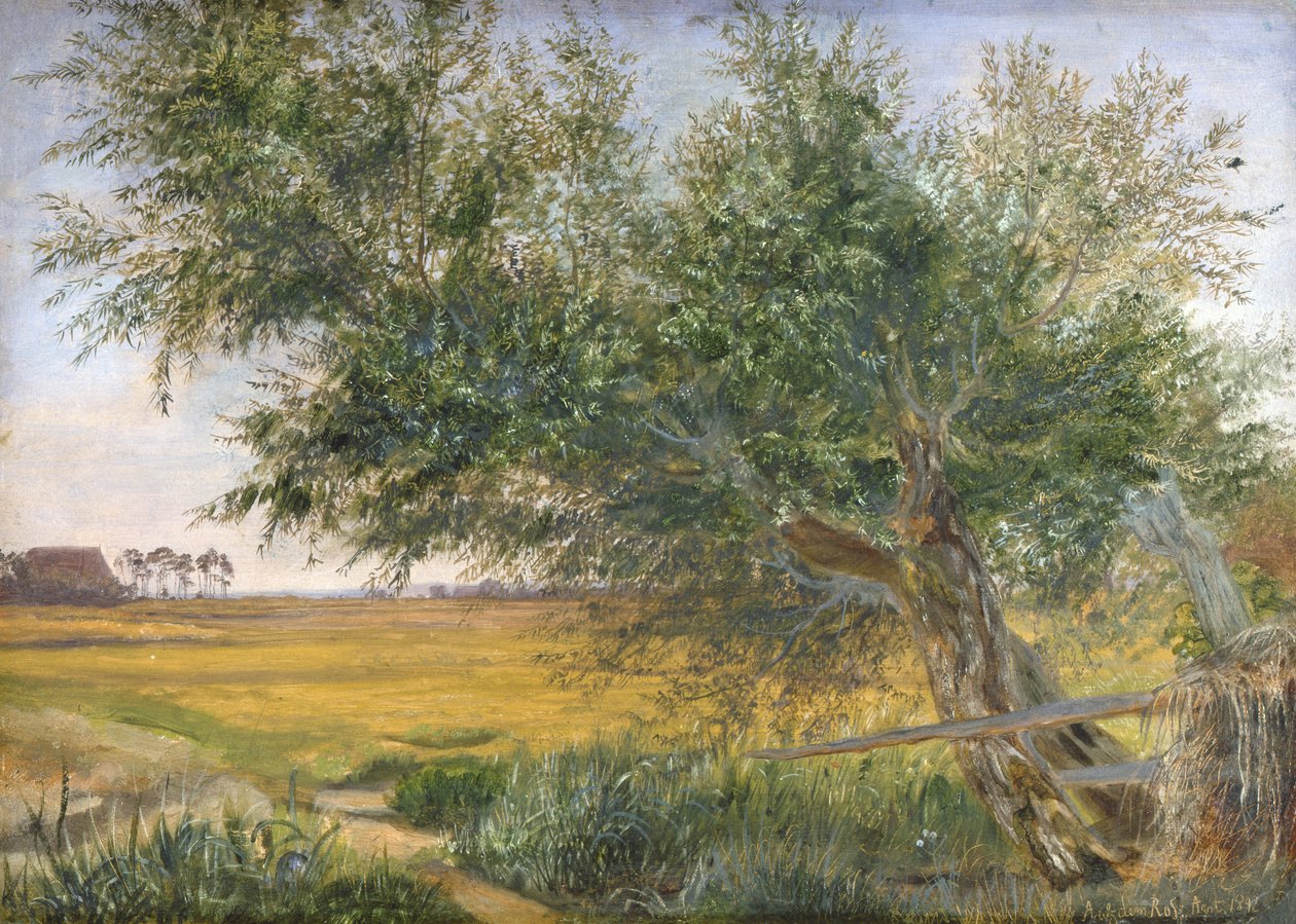 The Old Tree by Jacob Gensler