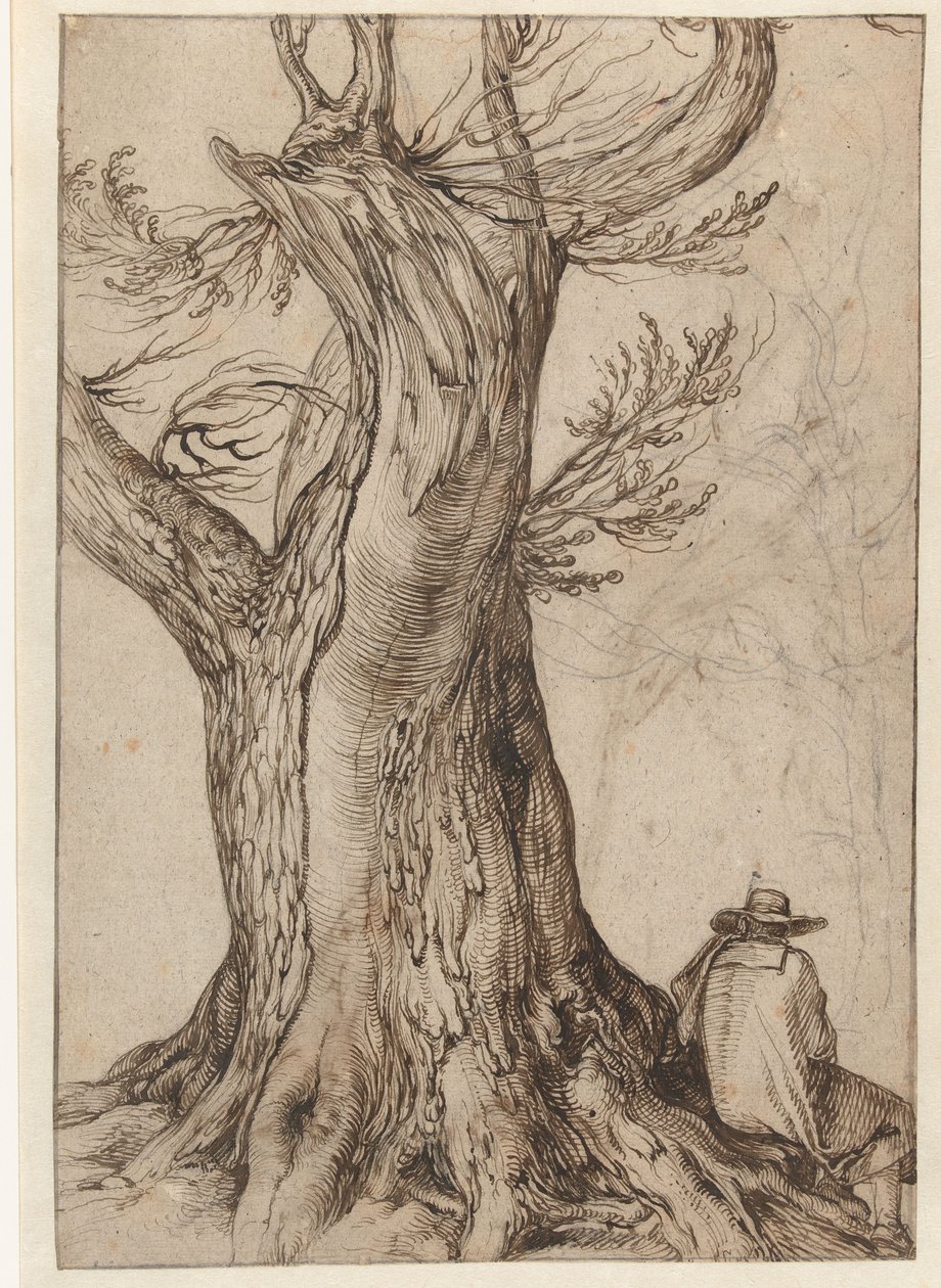 Study of a Tree Trunk by Jacob II de Gheyn: Fine art print