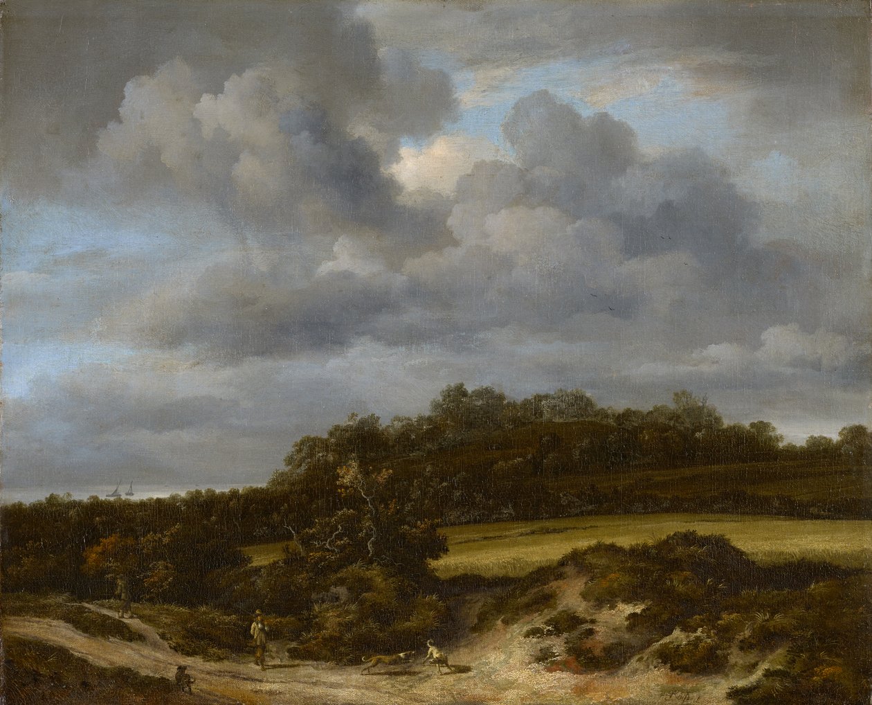 Cornfield, 1660 by Jacob van Ruisdael