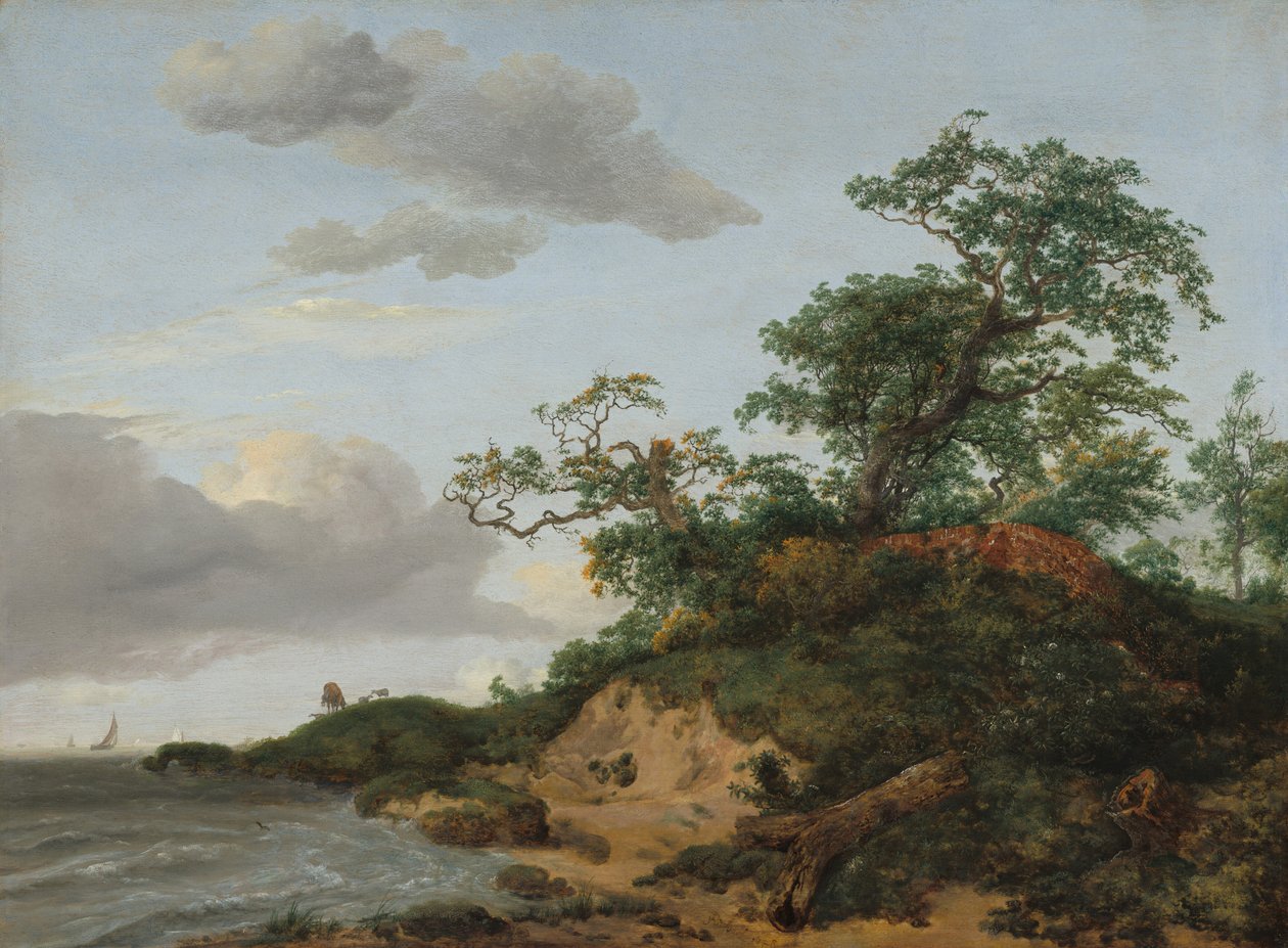 Dunes by the Sea by Jacob Isaaksz. or Isaacksz. van Ruisdael