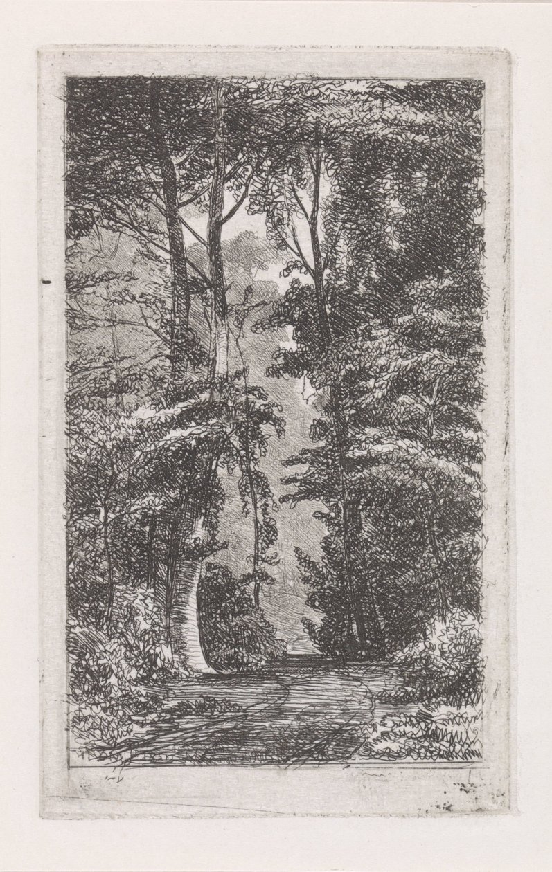 Forest Lane by Jacob Jan van der Maaten