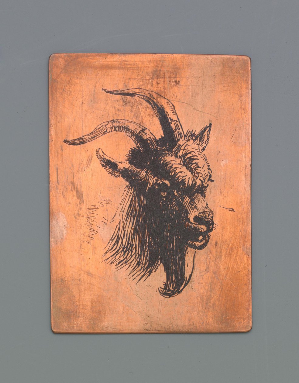 Head of a goat by Jacob Maris