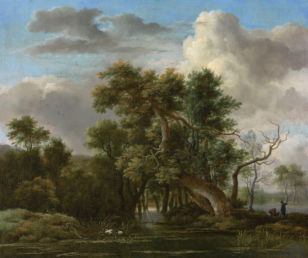A Woodland Pool by Jacob van Ruisdael