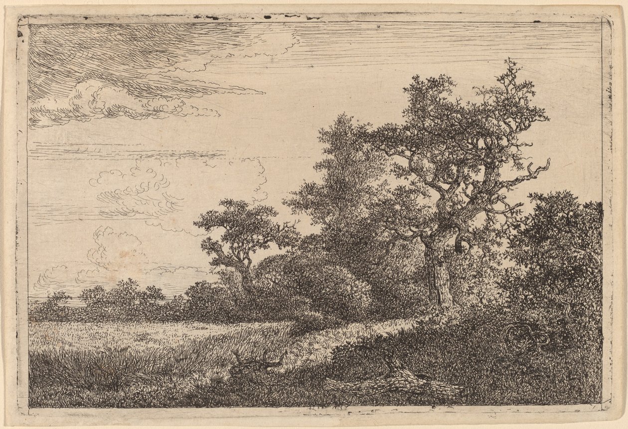 Grain Field at the Edge of a Wood by Jacob van Ruisdael