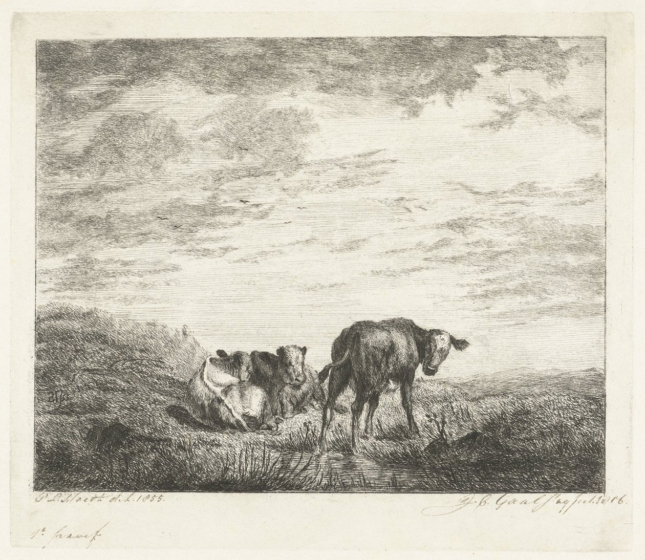 Three Calves by Jacobus Cornelis Gaal (signed by artist)