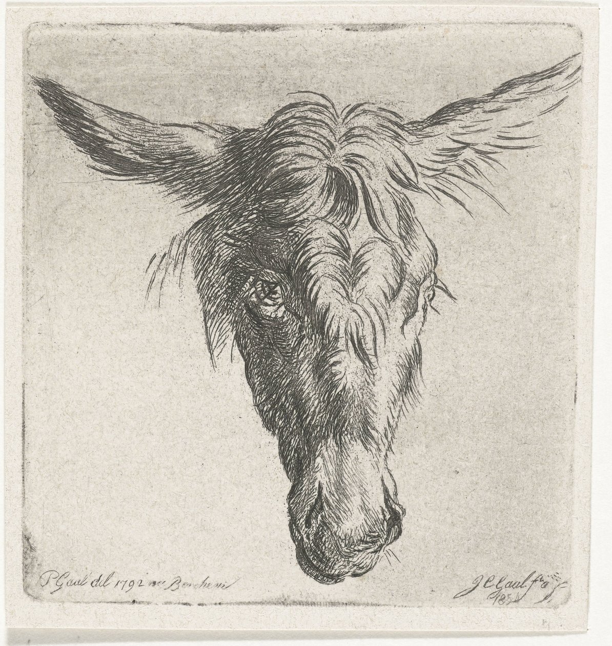Head of a Donkey by Jacobus Cornelis Gaal