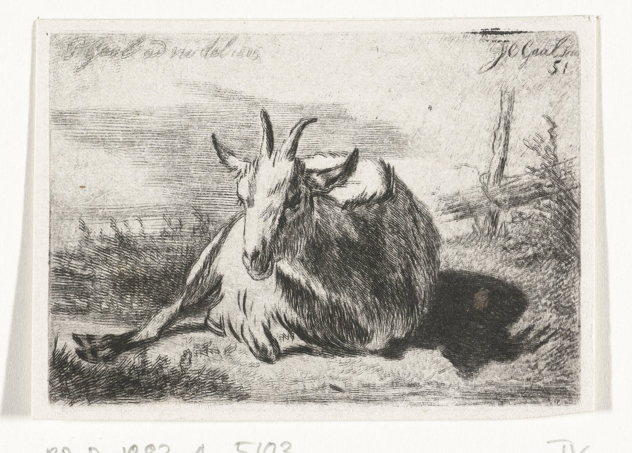 Lying Goat, Facing Left by Jacobus Cornelis Gaal