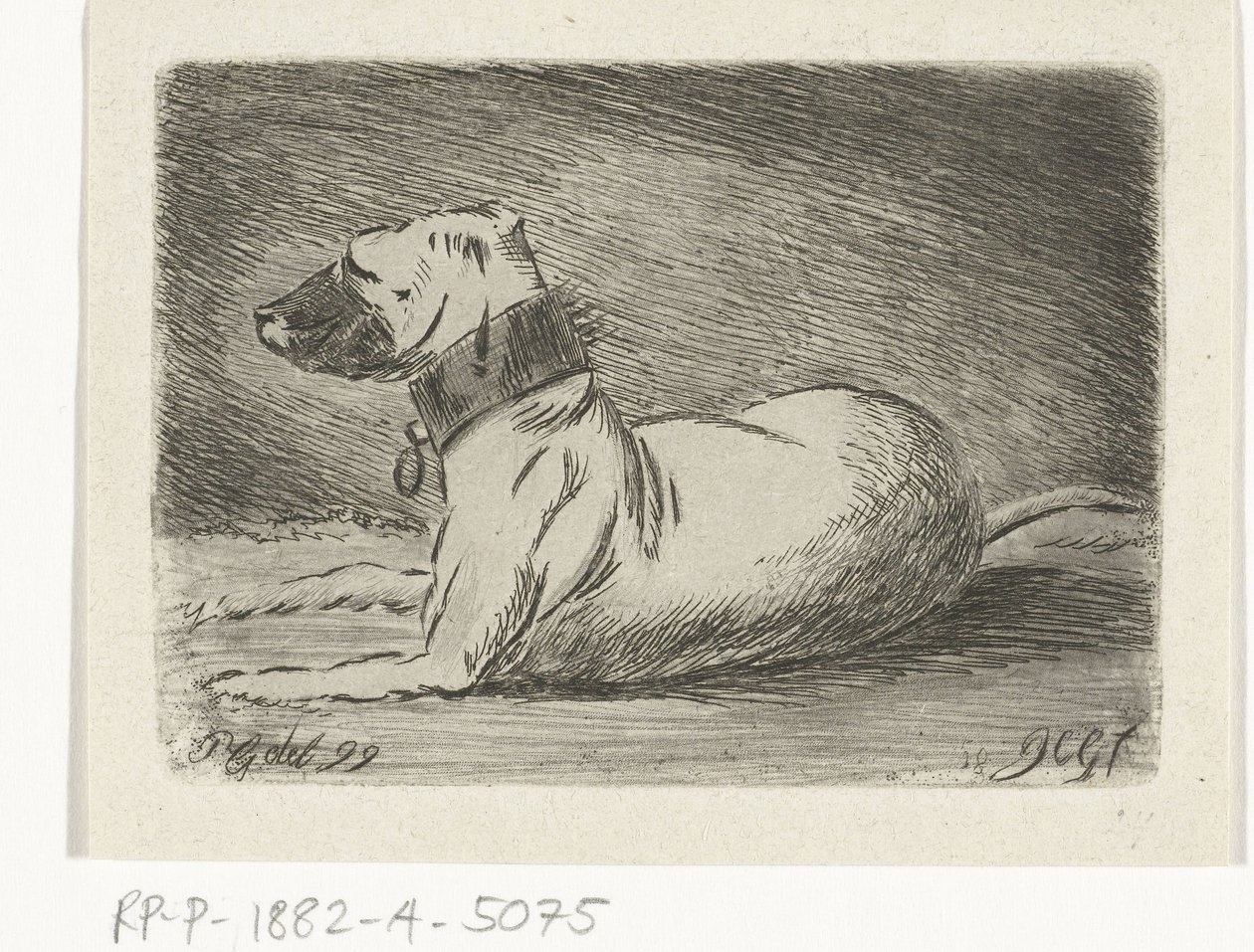 Lying Dog with Collar by Jacobus Cornelis Gaal