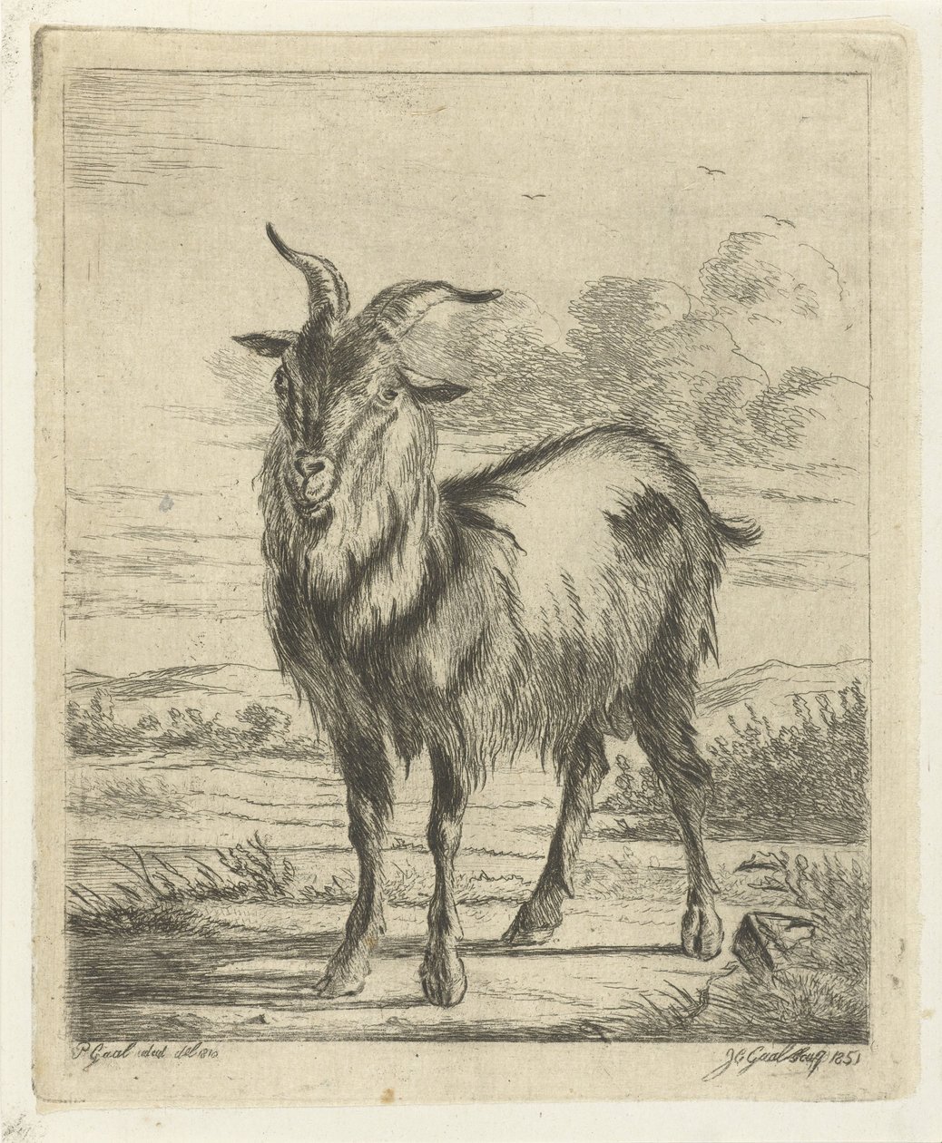 Standing Goat by Jacobus Cornelis Gaal