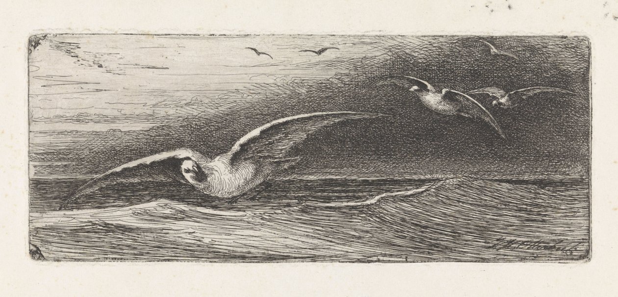 Seagulls by Jacobus Hermanus Otterbeek