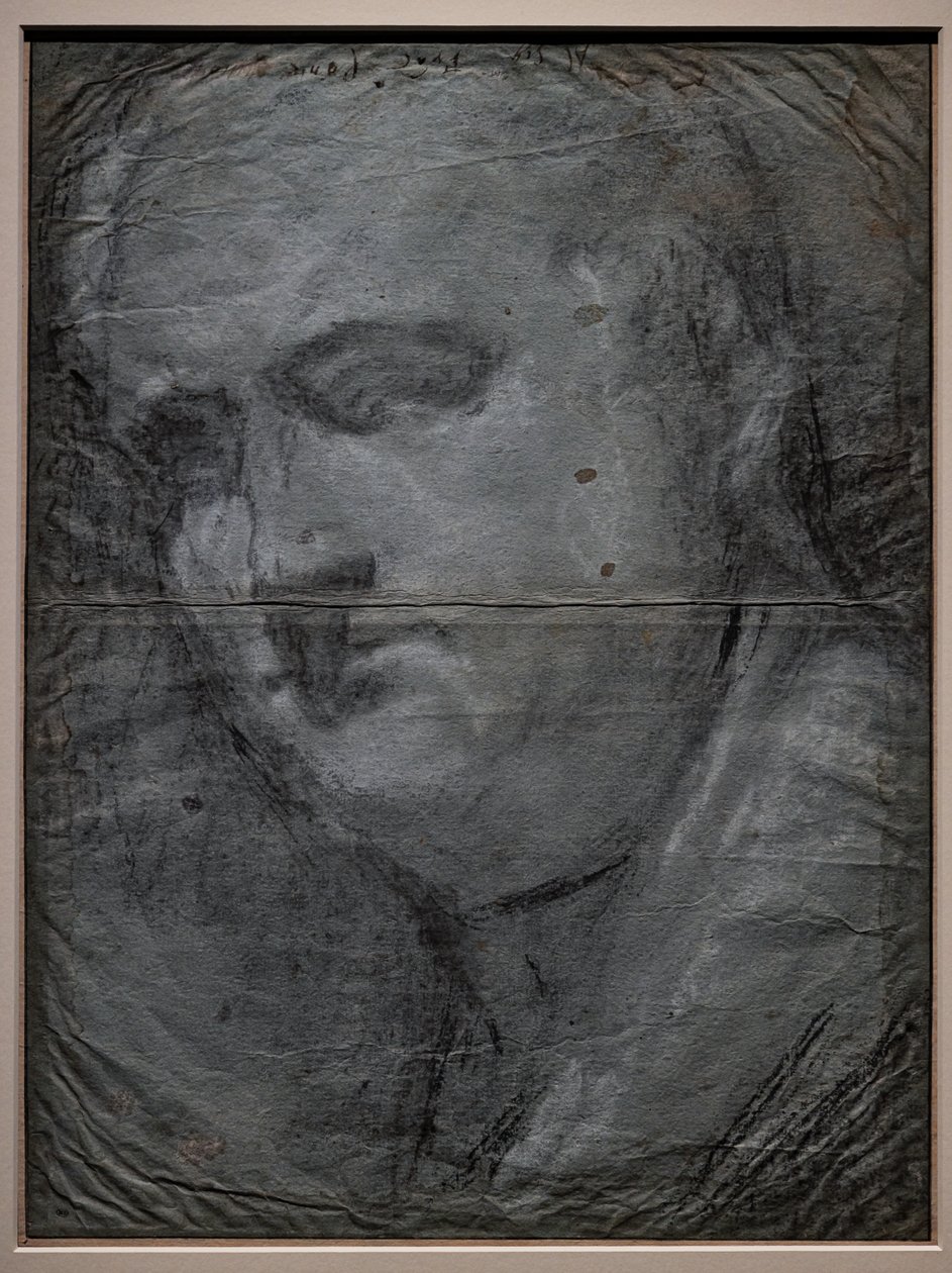 Portrait of Vitellio Grimani by Jacopo (1510 92) Bassano