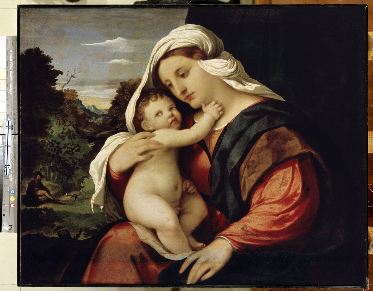 Virgin and Child by Jacopo (c.1480 1528) Palma