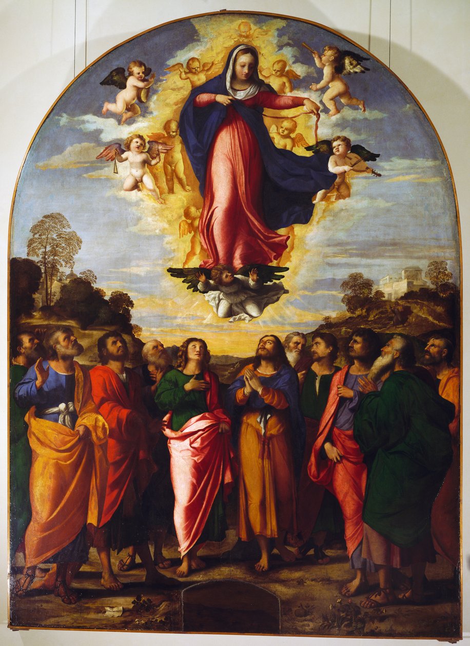 Assumption of Virgin by Jacopo (c.1480 1528) Palma