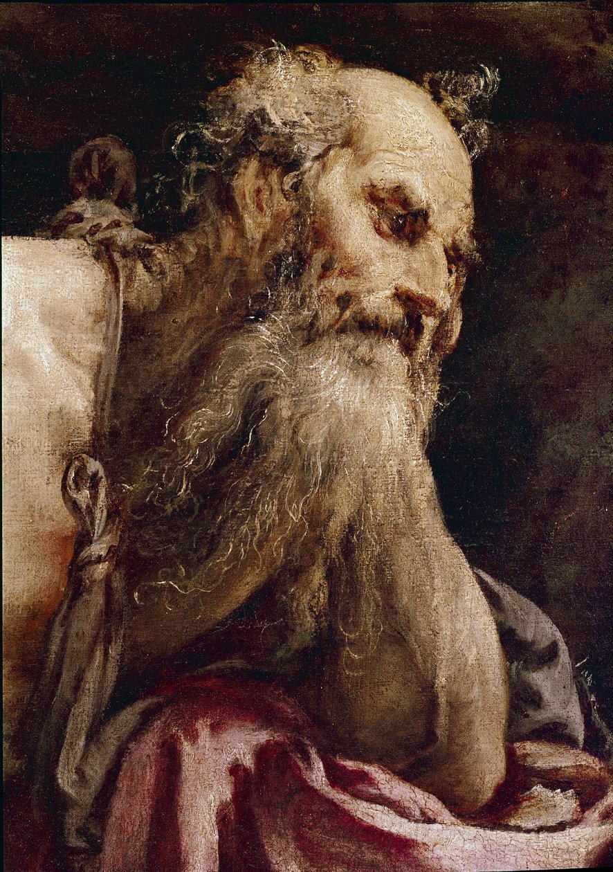 Saint Jerome in Meditation by Jacopo Bassano