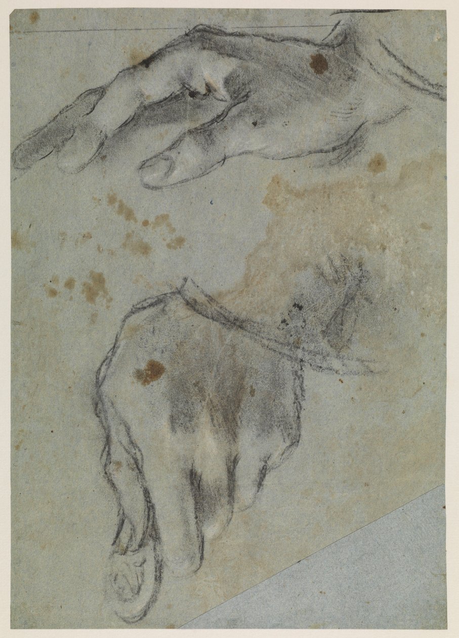 Studies of Hands, Recto, 16th Century by Jacopo Bassano