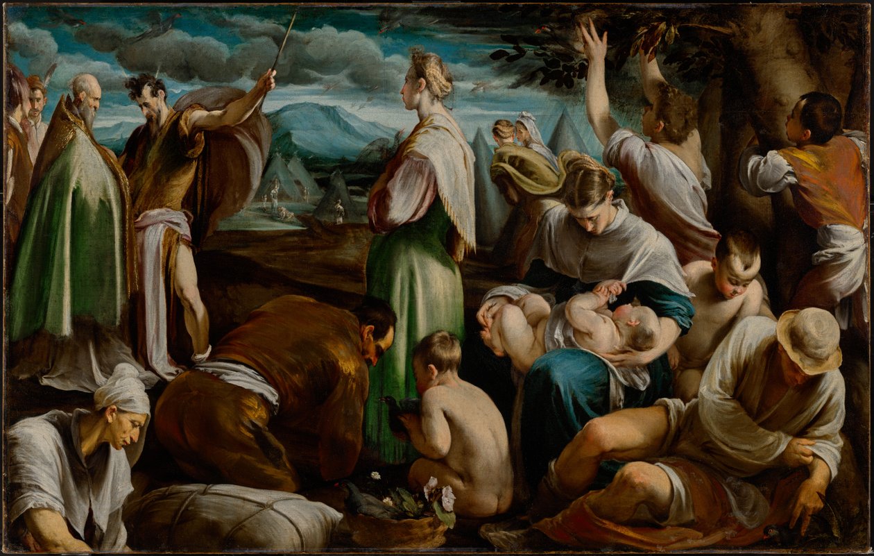 The Miracle of the Quails by Jacopo Bassano