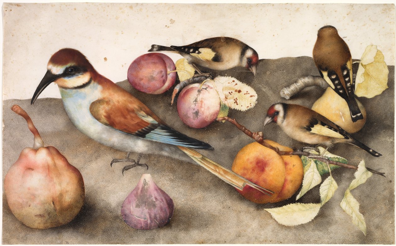 Still Life with Birds and Fruit by Jacopo Ligozzi
