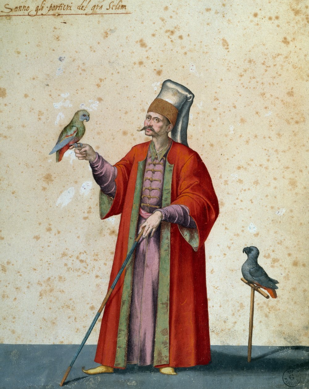 Usher to Great Selim with Parrots, drawing by Jacopo Ligozzi by Jacopo Ligozzi