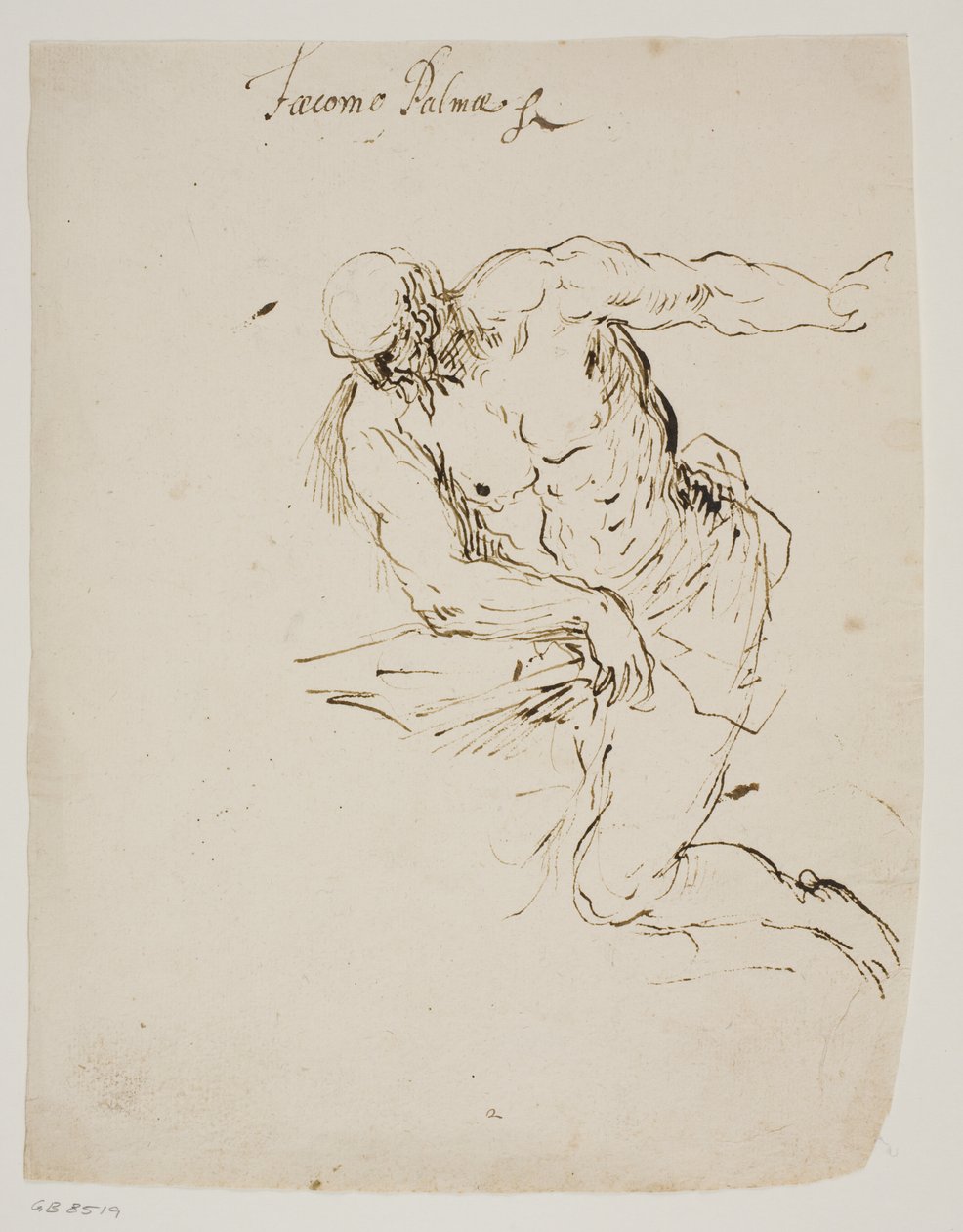 Kneeling St Jerome Reading by Jacopo Palma
