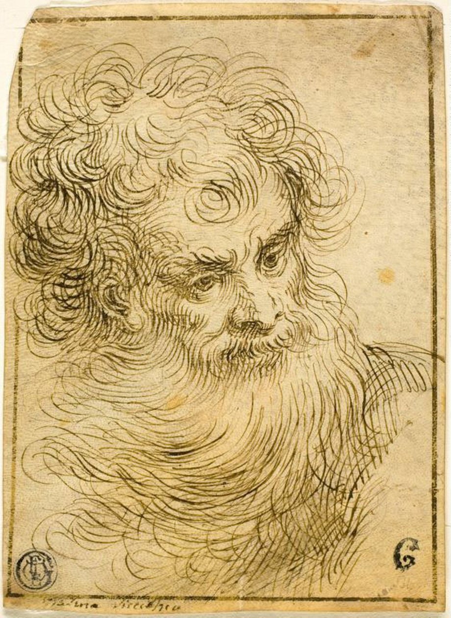 Head of Bearded Old Man (recto); Decorative Sketch of Flower and Leaves (verso) by Jacopo Palma il Giovane