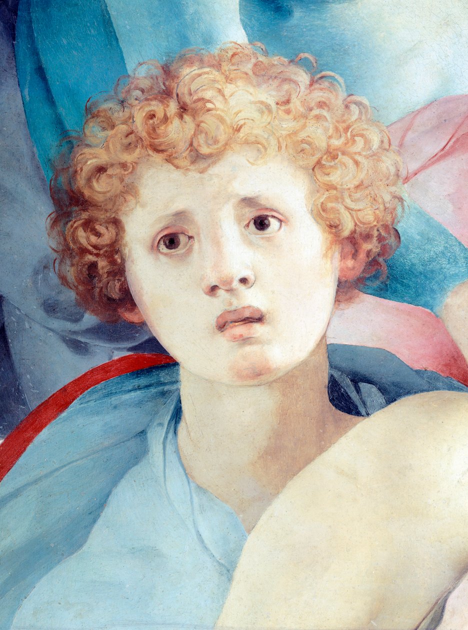 Face of Young Man, Detail of The Deposition by Jacopo da Pontormo by Jacopo Pontormo