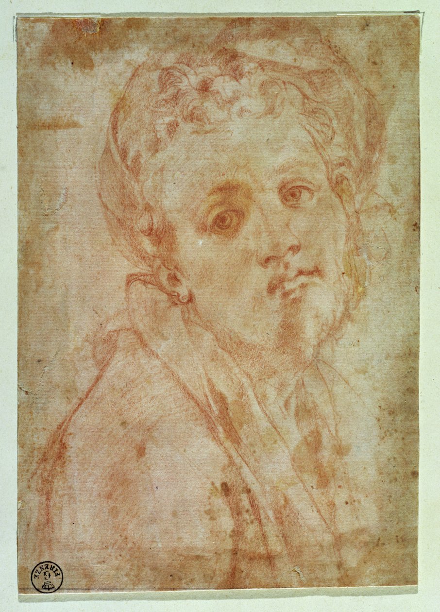 Self Portrait by Jacopo Pontormo