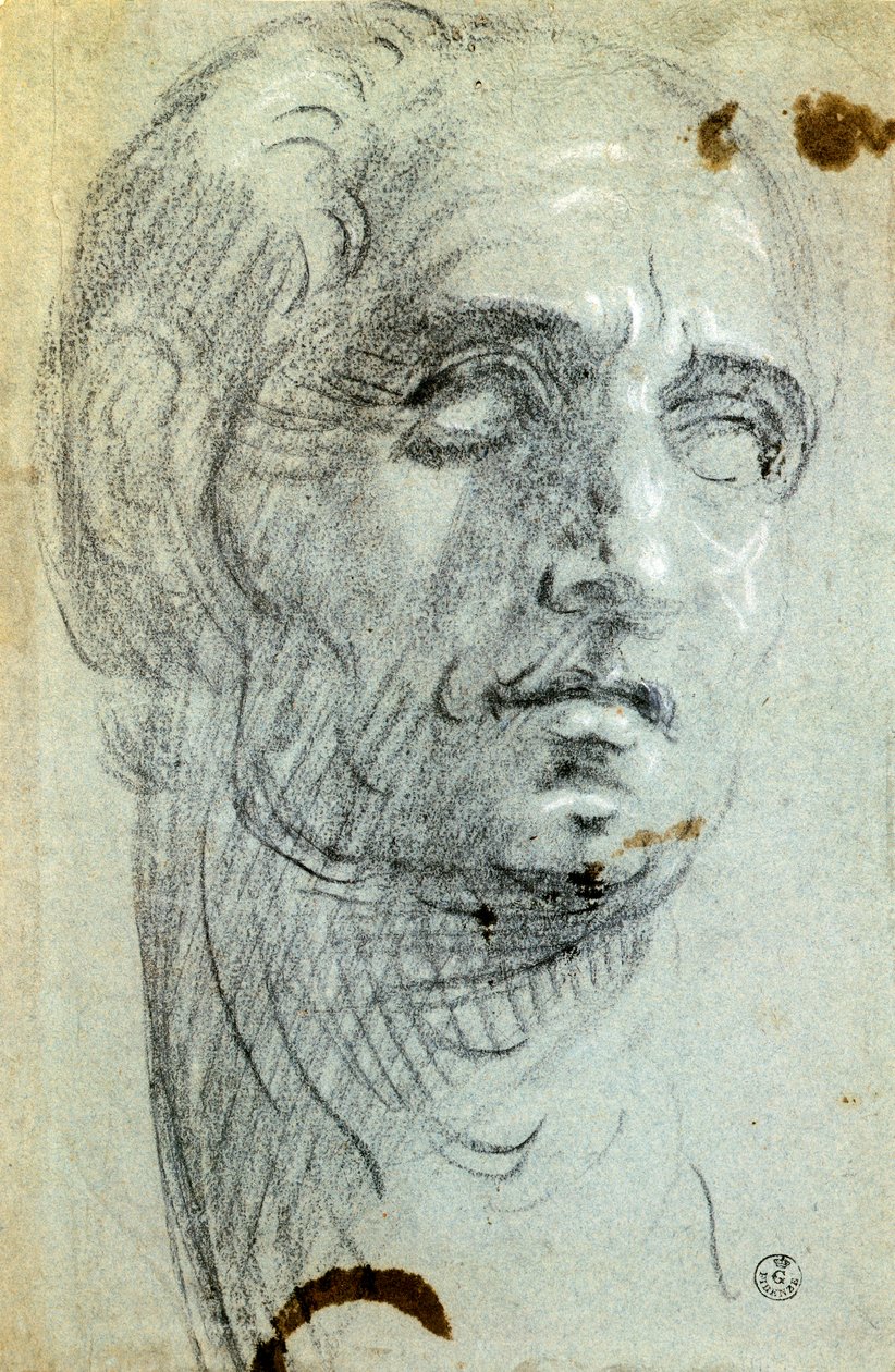 Male Head by Jacopo Robusti Tintoretto