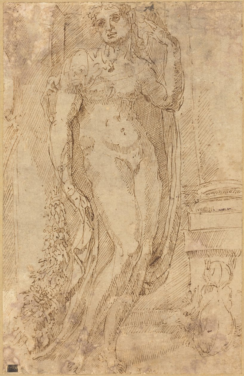 Allegorical Figure with a Cat and a Pig, c.1530 by Jacopo di Giovanni di Francesco