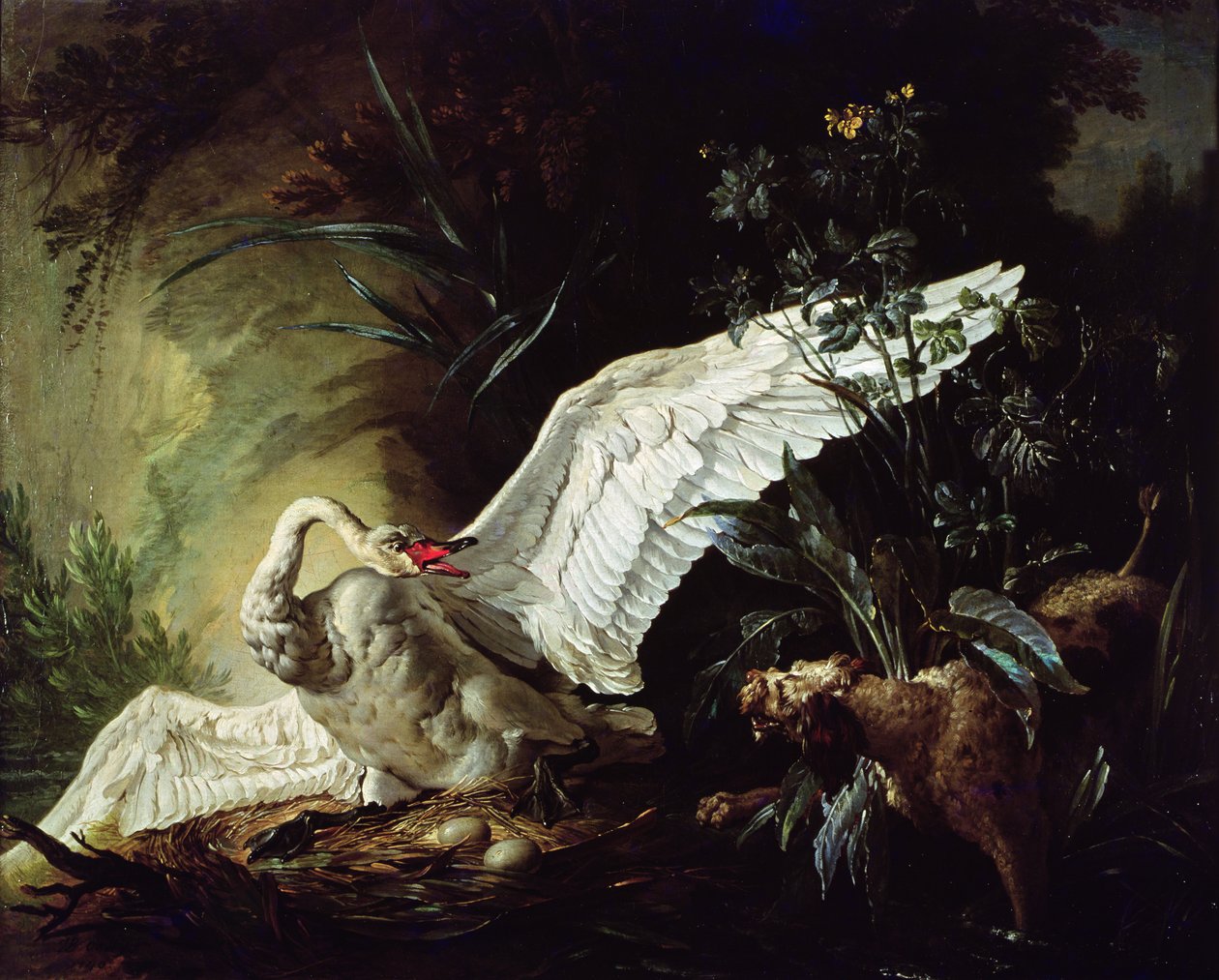 A Water Spaniel Attacking a Swan on its Nest, 1740 by Jacques Charles Oudry
