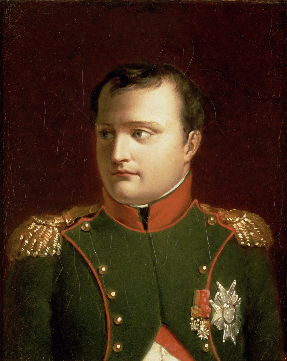 Napoleon Bonaparte by Jacques Louis David