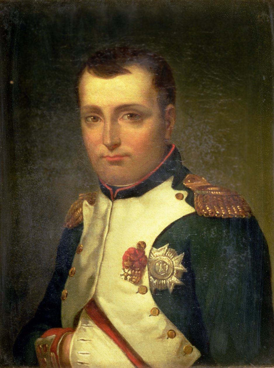 Napoleon Bonaparte by Jacques Louis David
