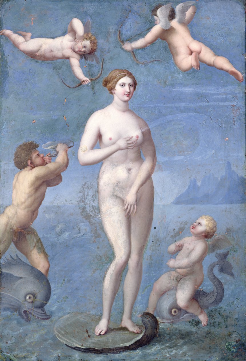 Venus by Jacques Stella
