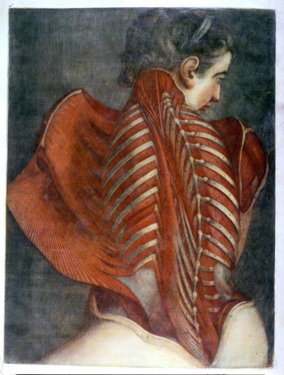 The Flayed Angel, from 