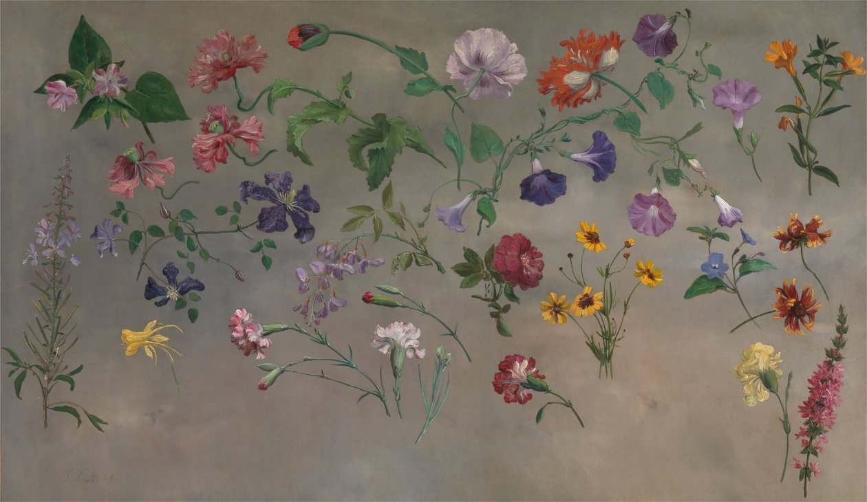 Studies of Flowers by Jacques-Laurent Agasse