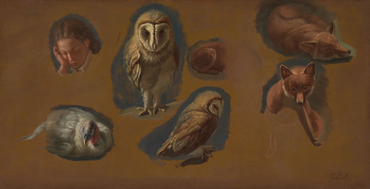 Studies of a Fox, a Barn Owl, a Peahen, and the Head of a Young Man by Jacques-Laurent Agasse