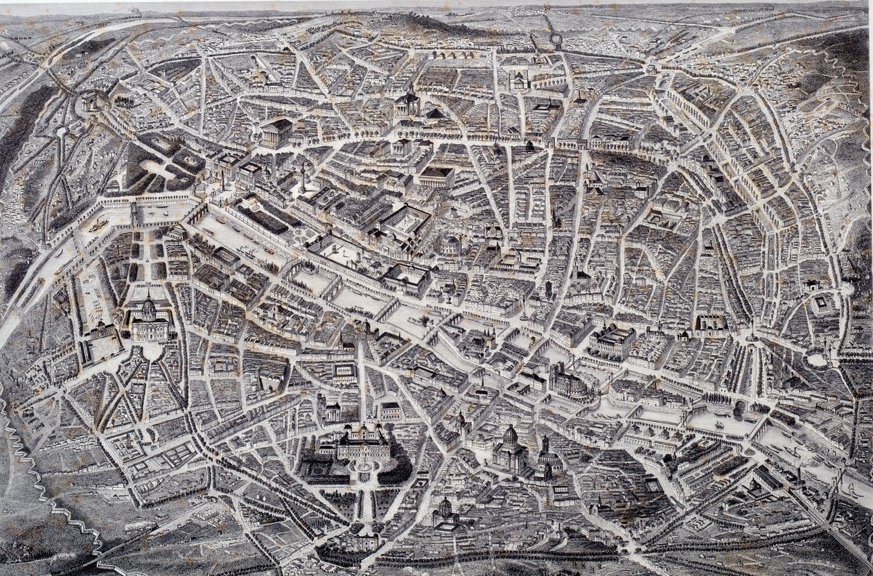 Map of Paris in relief and a bird