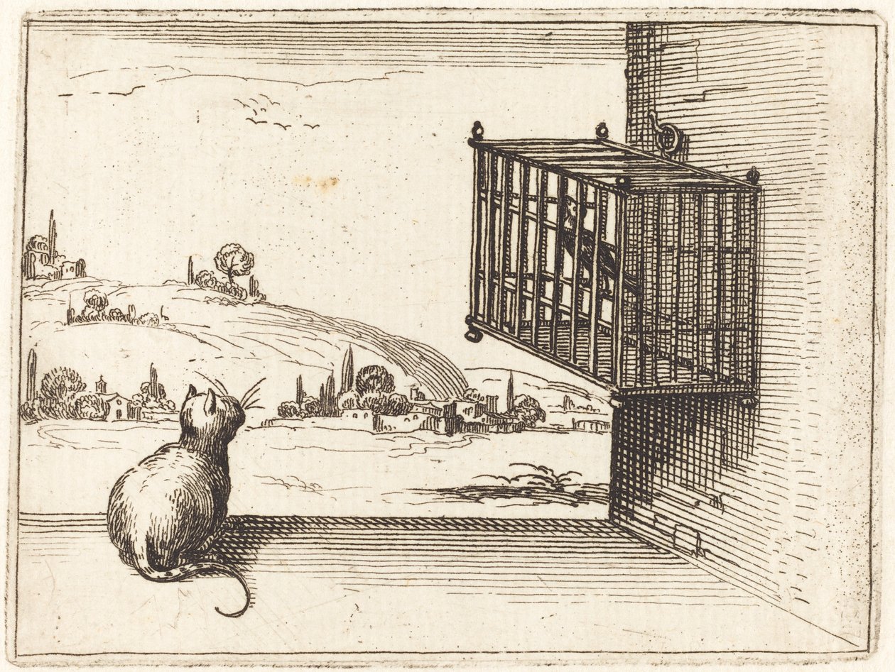 Cat Watching Caged Bird by Jacques Callot