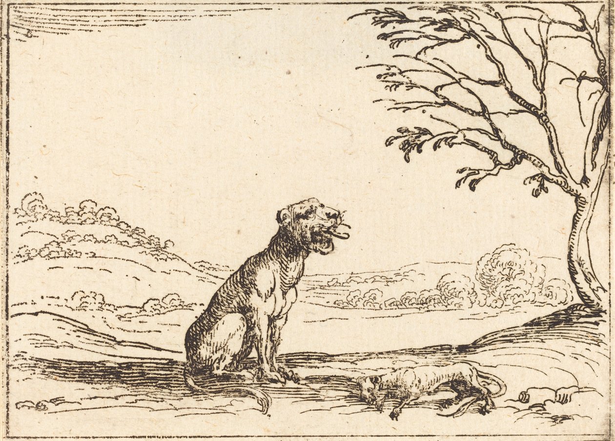 Lioness Mourning Her Cub by Jacques Callot