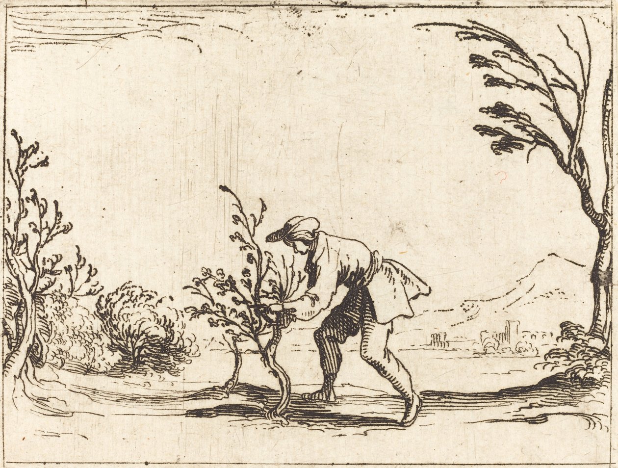 Man Cutting a Balm-Tree by Jacques Callot